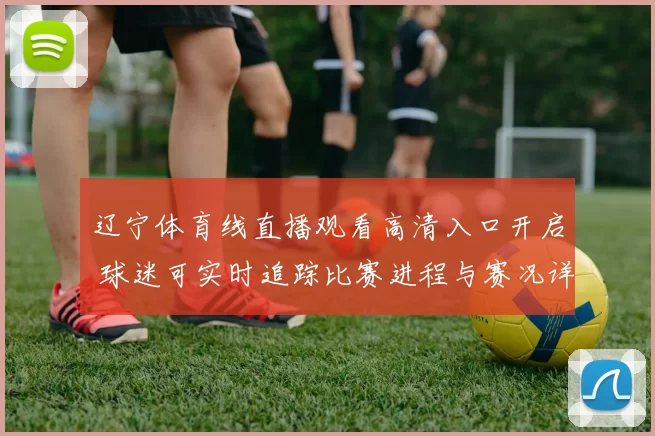 辽宁体育线直播观看高清入口开启 球迷可实时追踪比赛进程与赛况详情