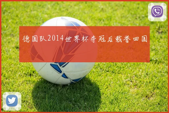 德国队2014世界杯夺冠后载誉回国